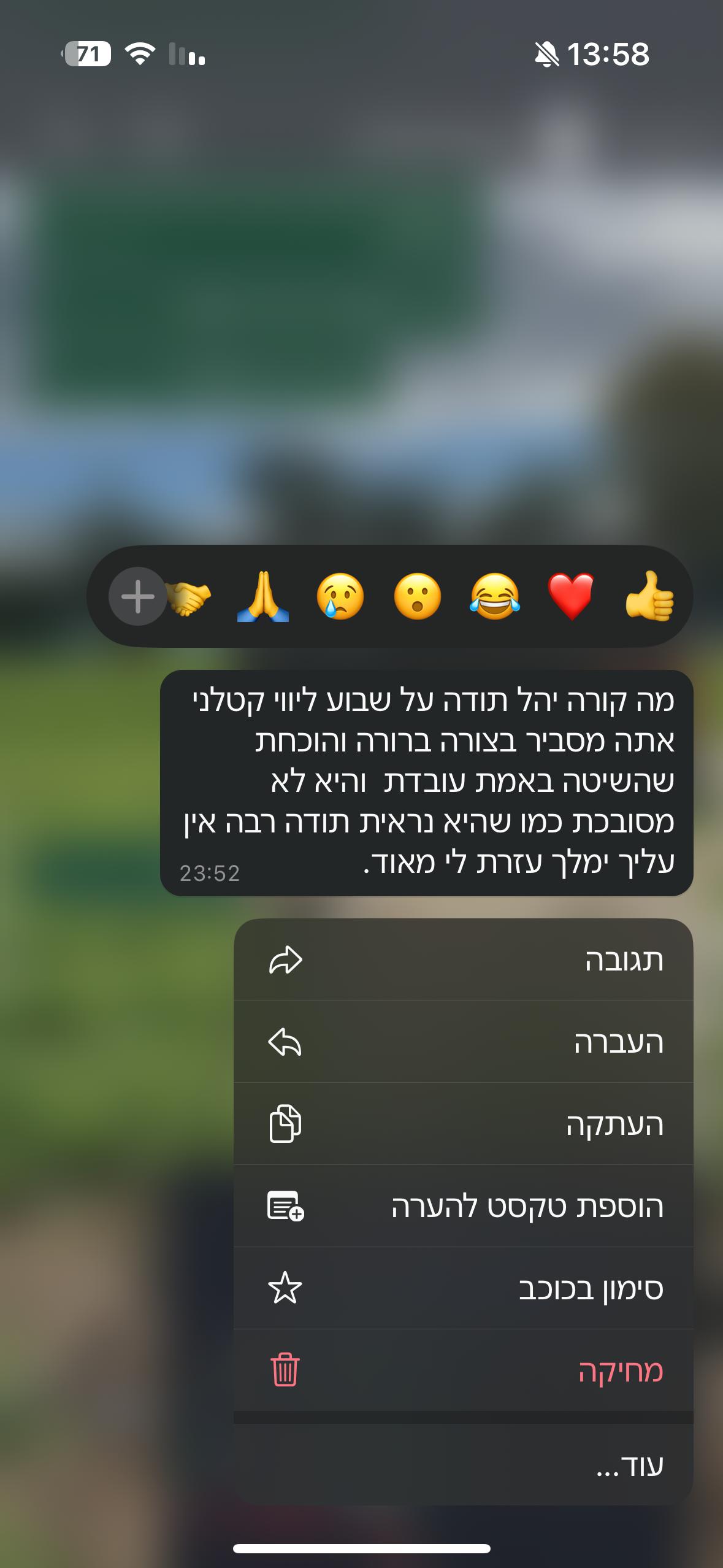 פרגון 3